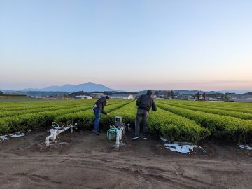 たからべ製茶株式会社-top