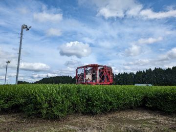 たからべ製茶株式会社-4