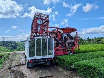 たからべ製茶株式会社-5