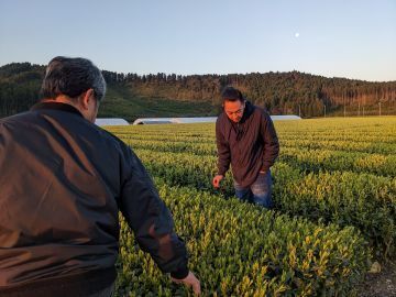 たからべ製茶株式会社-7