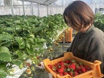 株式会社カジュレア-1