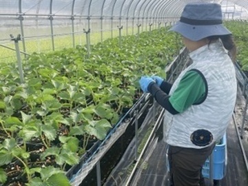 株式会社カジュレア-4