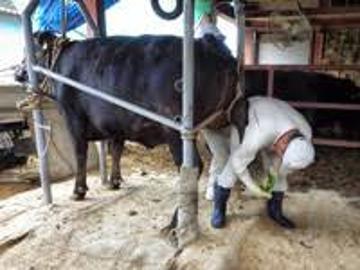 有限会社小田切牧場-2