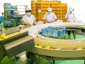 熊本県・宮崎県×養鶏/法人【34811】-3