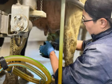 有限会社ダイナミルク-2