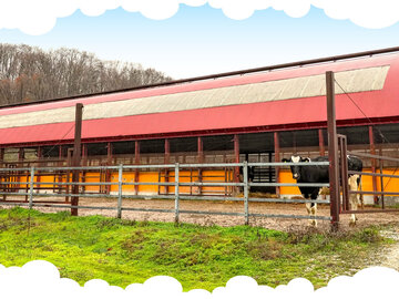 有限会社ダイナミルク-3