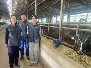 株式会社出口畜産-top