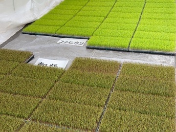 一般財団法人魚沼農耕舎-1