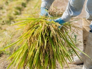 一般財団法人魚沼農耕舎-6