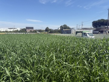 陽光ファーム-7