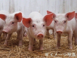 東京都千代田区×オープンポジション/法人【42422】-top