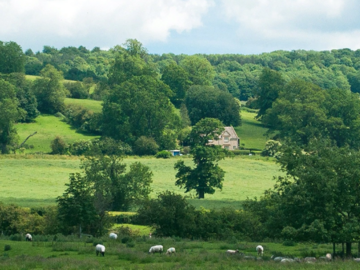 東京都千代田区×オープンポジション/法人【42422】-2