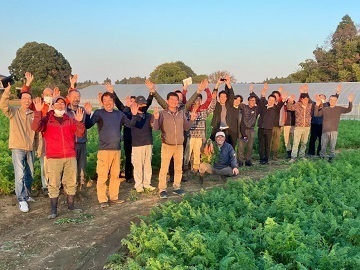 農事組合法人さんぶ野菜ネットワーク【正社員・パート・研修生】-top
