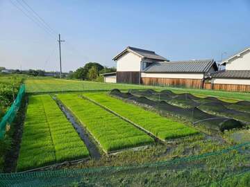 千代酒造株式会社-3