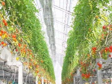 株式会社ジャパンフードファクトリー-1