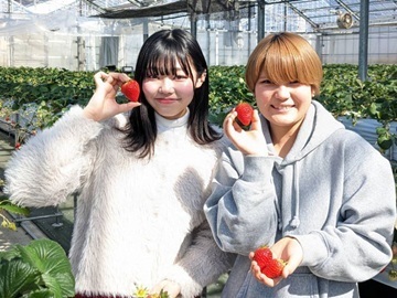 株式会社ジャパンフードファクトリー-3