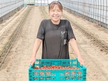 株式会社ジャパンフードファクトリー-5