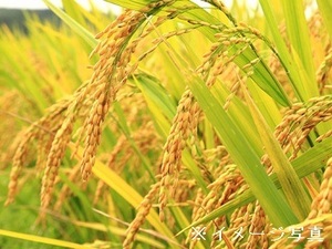 茨城県桜川市×生産補助/法人【42433】-top