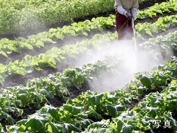 茨城県桜川市×生産補助/法人【42433】-1