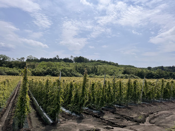 株式会社あいない-5