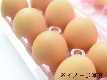 宮城県栗原市×養鶏/法人【42437】-2