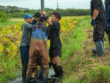 太助レンコン園-5