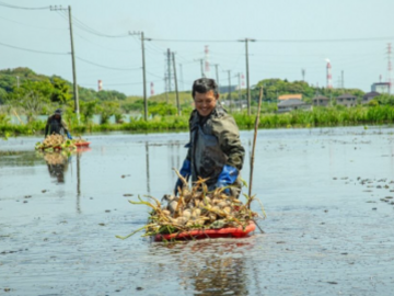 太助レンコン園-1