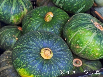 株式会社グリーンオーシャン【短期アルバイト】-5