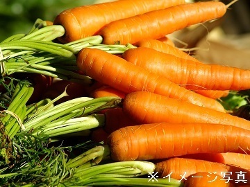 株式会社グリーンオーシャン【短期アルバイト】-7