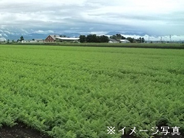 株式会社グリーンオーシャン【短期アルバイト】-8