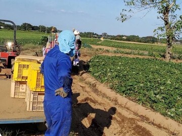 K&Kアグリサービス-1