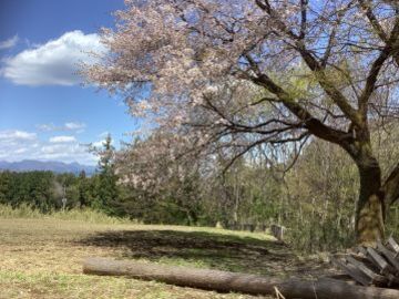 野山園-4