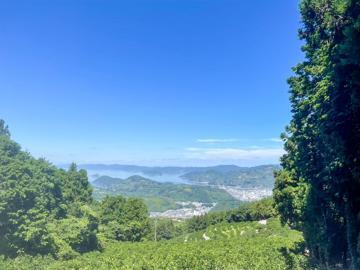 木口農園(愛媛)-2