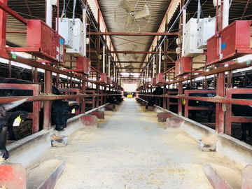 尾熊牧場-3