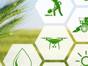 住商アグリビジネス株式会社【北海道:事業企画開発】-top