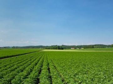 住商アグリビジネス株式会社【北海道:事業企画開発】-2