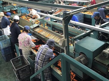 株式会社グリーンオーシャン【短期アルバイト】-3