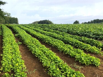 K&Kアグリサービス-2