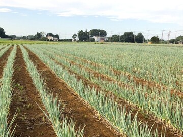 K&Kアグリサービス-4