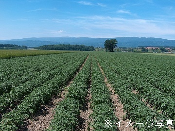 北海道剣淵町×野菜・稲作/法人【42458】-top