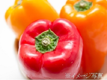 北海道釧路市×営業/法人【42460】-1