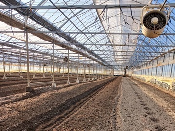 株式会社いわた農園-2