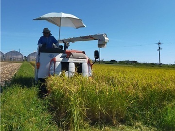 株式会社いわた農園-5