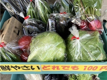 株式会社いわた農園-7