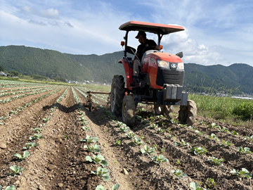 農事組合法人たいよう農園-2
