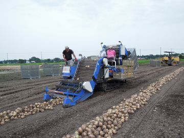栃木県高根沢町×露地野菜/個人【42343】-3
