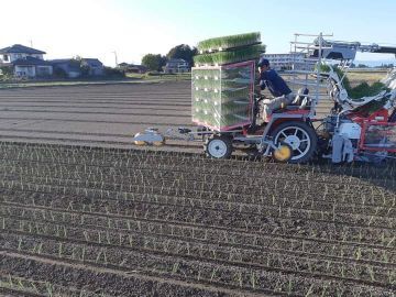 栃木県高根沢町×露地野菜/個人【42343】-5