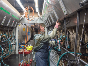 株式会社しんじゅ-top