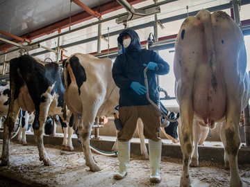 株式会社しんじゅ-2