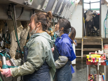 株式会社しんじゅ-3